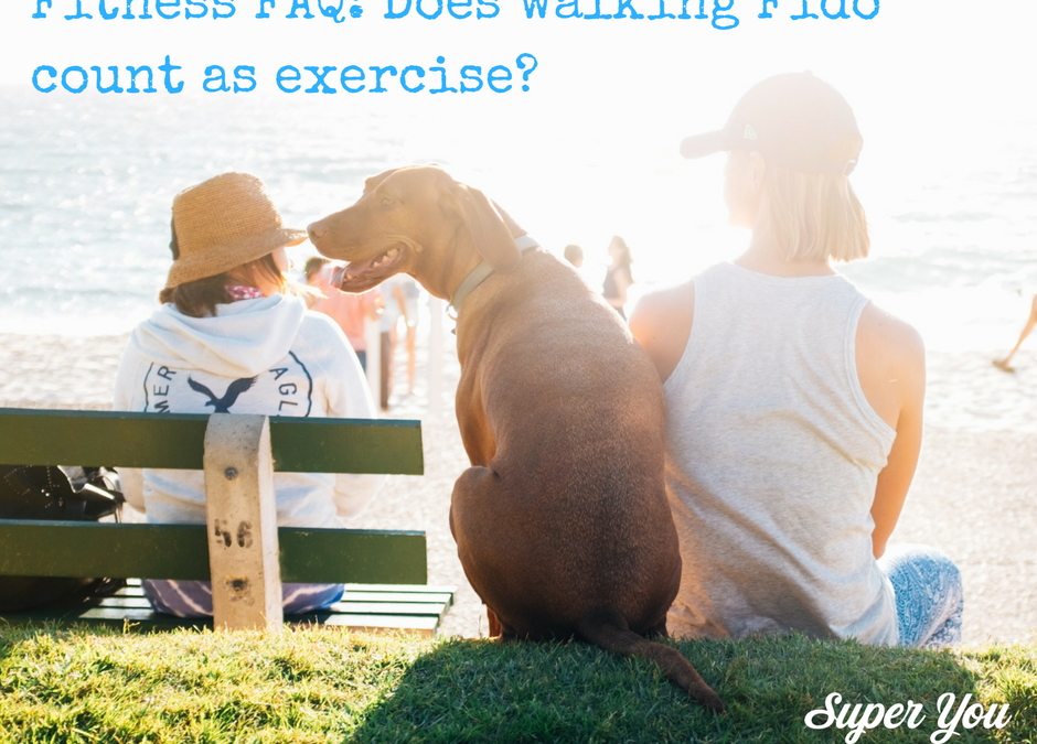 Fitness FAQ: Is walking Fido exercise?