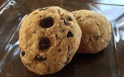 Funky Monkey Chocolate Chip Cookies