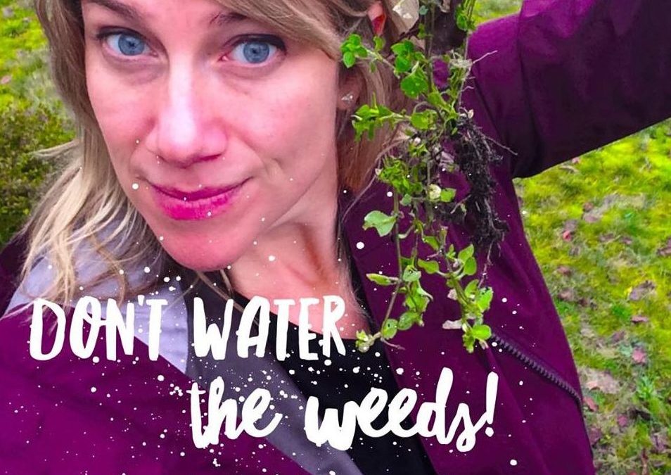 Don’t Water the Weeds!